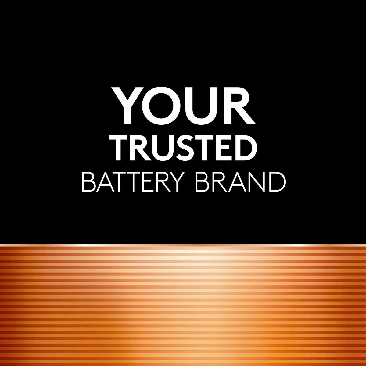 Duracell Coppertop AAA Batteries, Alkaline, 20-pk