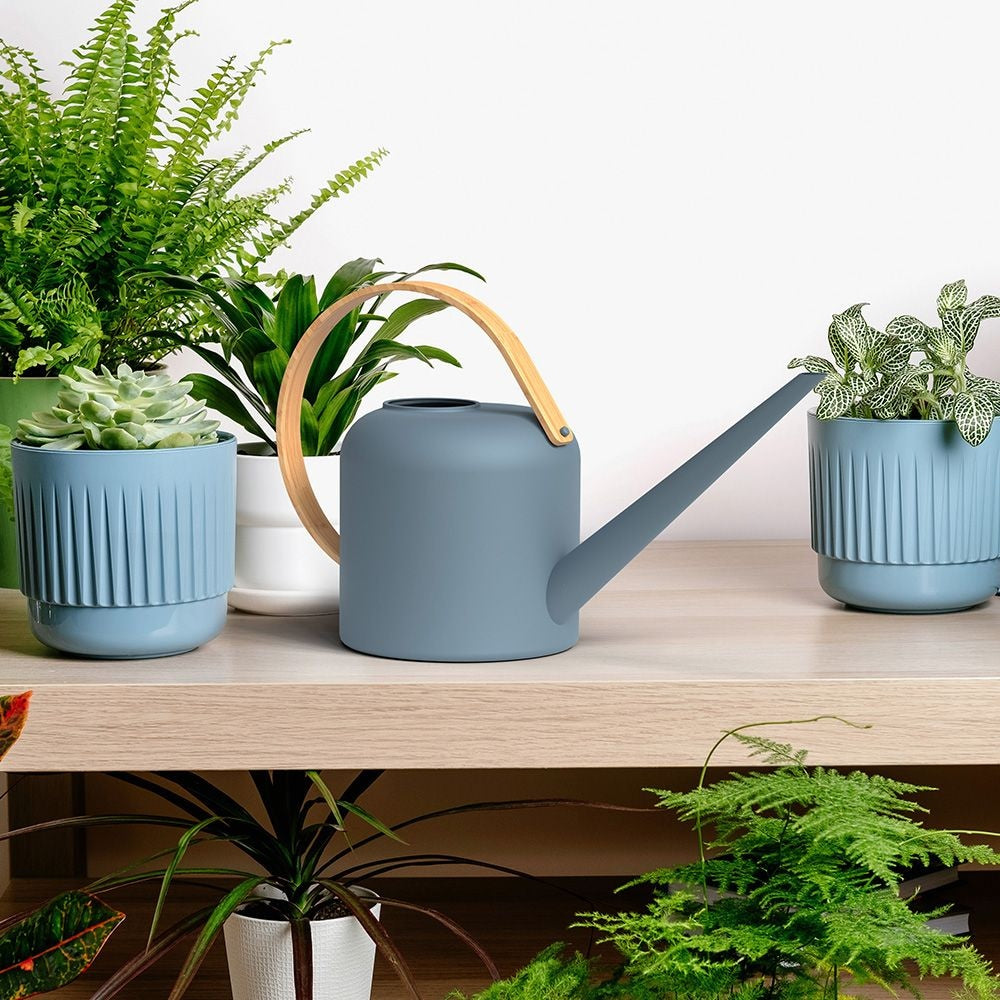 Panacea Metal Watering Can, Blue, 2.84-L