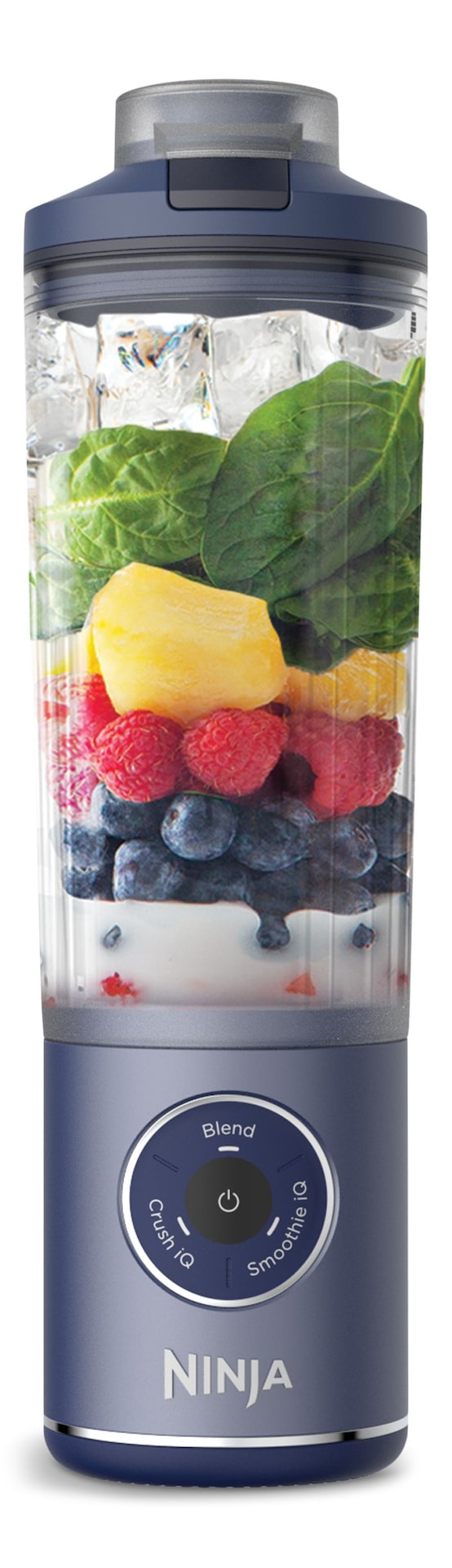 Ninja Blast 2.0 Portable Cordless Personal Blender with, Black, 18-oz V8